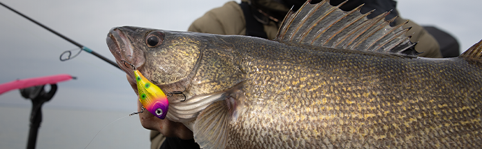 Spring Walleye Fishing: The Playbook (Pre-Spawn → Spawn → Post-Spawn)