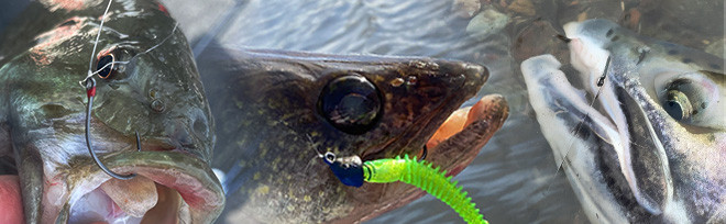 The Mustad Alpha Point Hooks - Everything You Need To Know