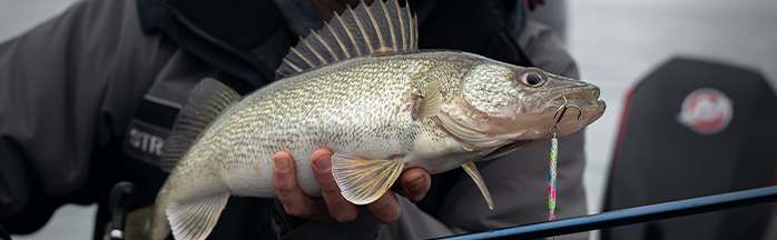 Walleye Jigging: Vertical + Casting Jig Heads, Plastics, Weight & Cadence — The Complete System