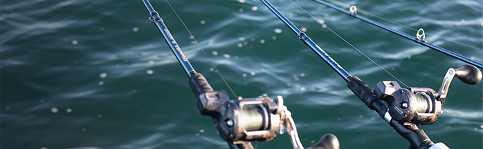 Complete Walleye Trolling Starter Spread