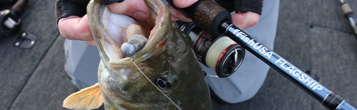 What Do Bass Eat? A Complete Guide to Bass Diet and Feeding Habits
