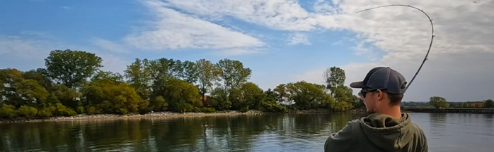 When Do Bass Spawn? A Complete Guide to the Bass Spawning Season