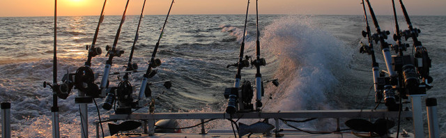 How to Choose the Best Wholesale Fishing Gear for Charter Businesses
