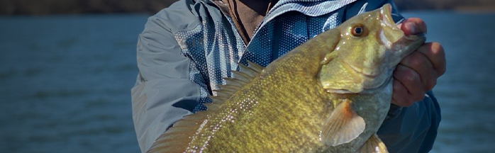 Winter Bass Fishing Tips: How to Catch Bass in Cold Water