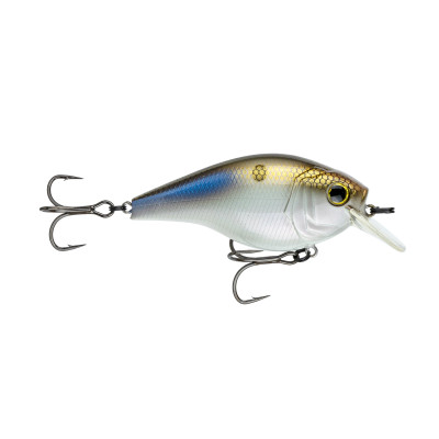 6th Sense Cloud 9 MiniMag SB Crankbait 4K Shad