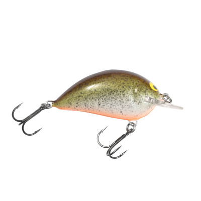 Bagley Shallow Sunny B 05 Crankbait Root Beer