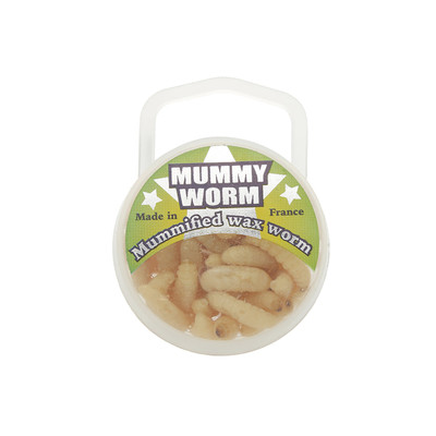 EUROTACKLE MUMMY WORM MUMMIFIED WAX WORM 35 PACK