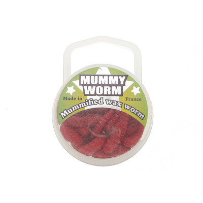 EUROTACKLE MUMMY WORM MUMMIFIED WAX WORM 35 PACK - Northwoods Wholesale  Outlet