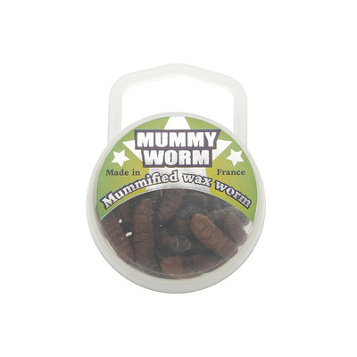 Eurotackle Mummy Worm Preserved Wax Worms, Green Caterpillar