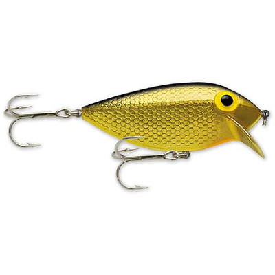 Buy Storm ThinFin 08 Fishing Lure, Black Crappie Online at Low Prices in  India 