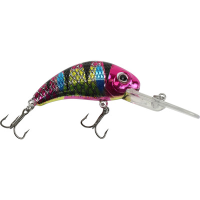 Walleye Nation Creations Boogie Shad Crankbait Custom Color - WNC Disco