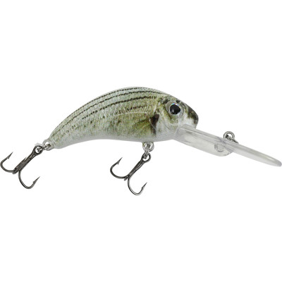 Walleye Nation Creations Boogie Shad Crankbait Custom Color - White Bass