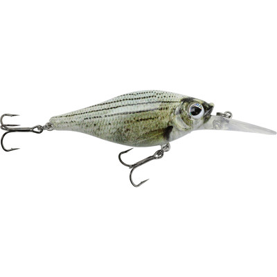 Walleye Nation Creations Shaky Shad Crankbait Custom Color - White Bass