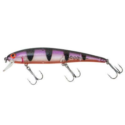 Bomber Long A Lure Exclusive Color - Naked Purple Perch