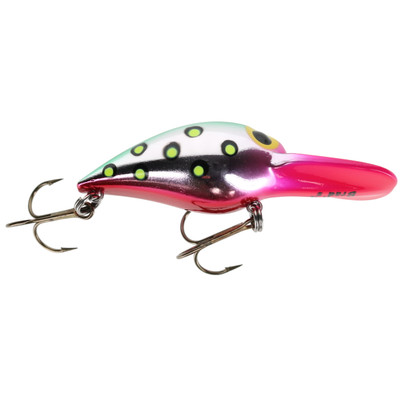 Brad's Wiggler California Watermelon