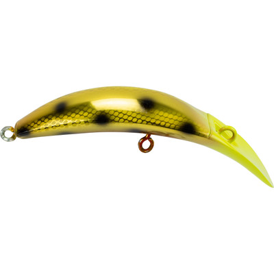 Brad's KillerFish KF15-107 Gold Parrot