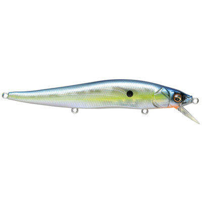 Megabass Vision 110 GP Skeleton Tennessee