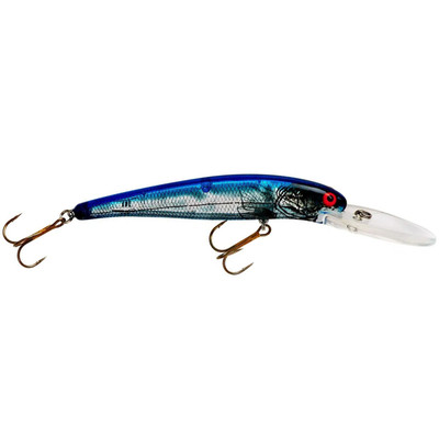 Bomber Lures B25APTL Deep Long A Fishing Lures (Silver Prism/Blue Back, 4  1/2), Topwater Lures -  Canada