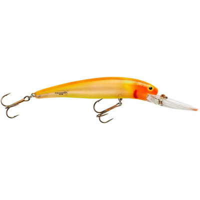 Bomber Lures Deep Long A B25A Slender Minnow Jerbait Fishing Lure, Fishing  Gear and Accessories, 3 1/2, 3/4oz, Fruity Crush, Diving Lures -   Canada