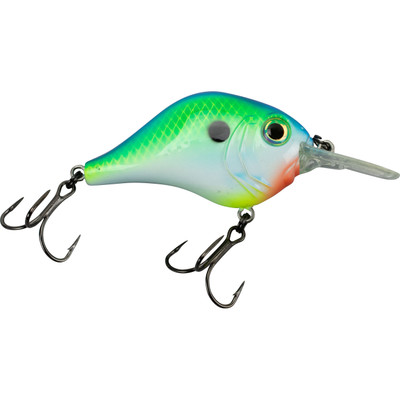 Bill Lewis MR-6 Crankbait Citrus Shad