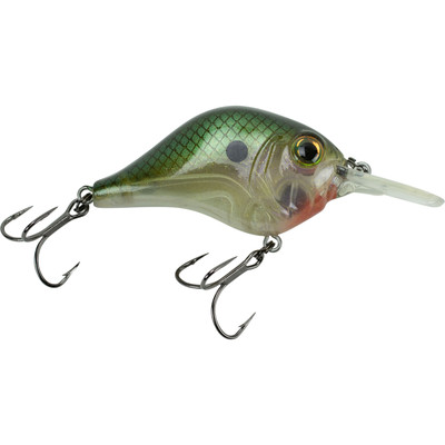 Bill Lewis MR-6 Crankbait Green Gizzard Shad