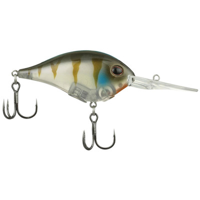 Berkley Dime Ghost Gill