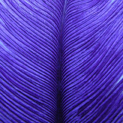 Wapsi Ostrich Herl Purple (OH092)