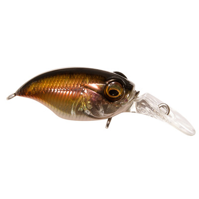 Megabass BFS MR-X Griffon GP Kawamutsu