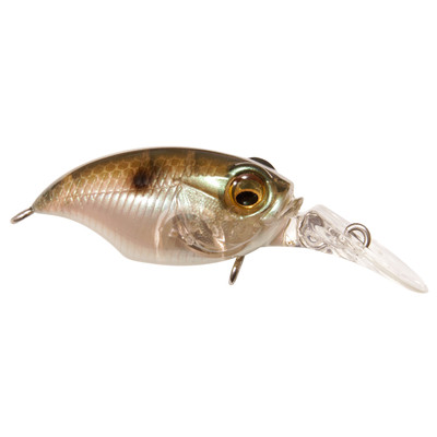 Megabass BFS MR-X Griffon MB Gizzard