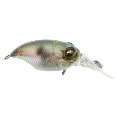 Megabass BFS MR-X Griffon MB Gizzard