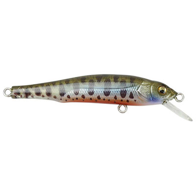 Megabass X-70 Baby Trout