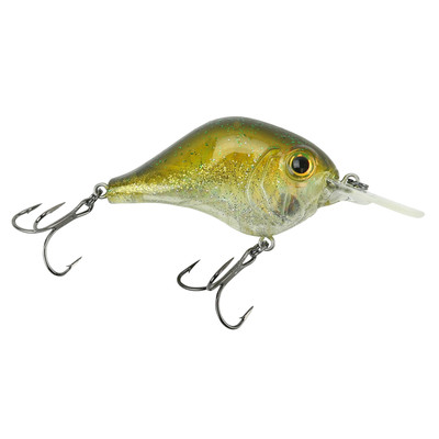 Bill Lewis Mr-6 Crankbait Pro Blue – Hammonds Fishing