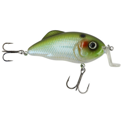 Strike King Hybrid Hunter Clearwater Minnow / Jr