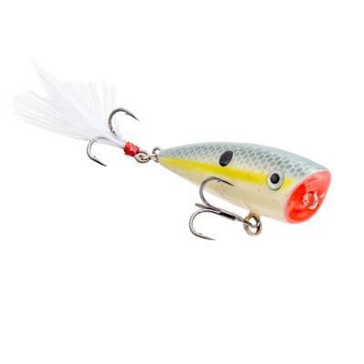 Strike King Bitsy Splash Sexy Shad