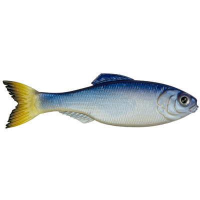 6th Sense Panorama Swimbait Glass Minnow