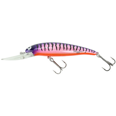 Bomber Lures BSWLS6BBF BSW Long Shot Diving Lure, Baby Blue Fish, Diving  Lures -  Canada