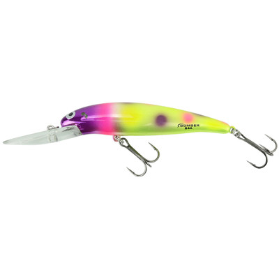 Bomber Deep Long A Minnow 24A Jerkbait/Trolling Hard Minnow — Discount  Tackle