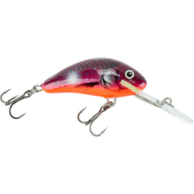 Salmo Floating Hornet Crankbait Purple Fluorescent Orange