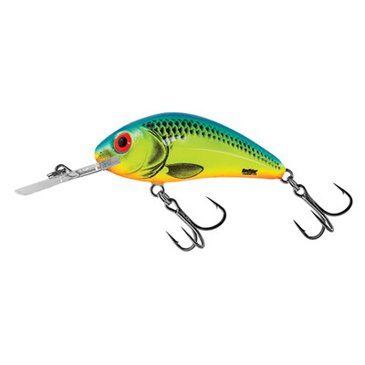 Salmo Rattlin Hornet Floating Crankbait | Supernatural Perch; 2 1/8 in. | FishUSA