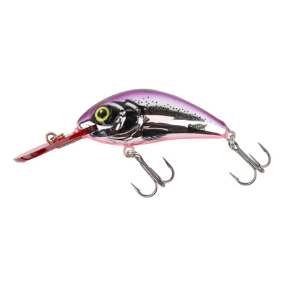 Fire Bug Rattling Hornet Floating Crankbait by Salmo at Fleet Farm