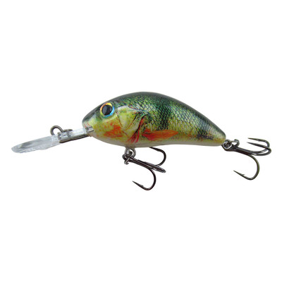 Salmo Rattlin Hornet Floating Crankbait | Supernatural Perch; 2 1/8 in. | FishUSA