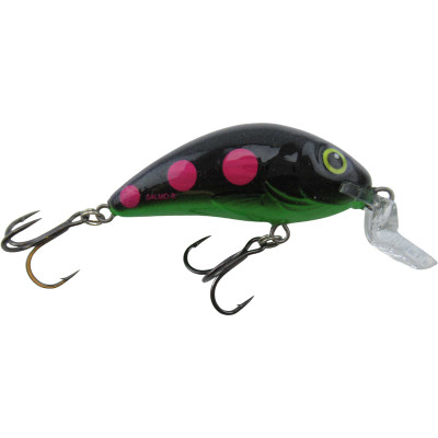 Lure Salmo Hornet and Hornet Super Deep Runner