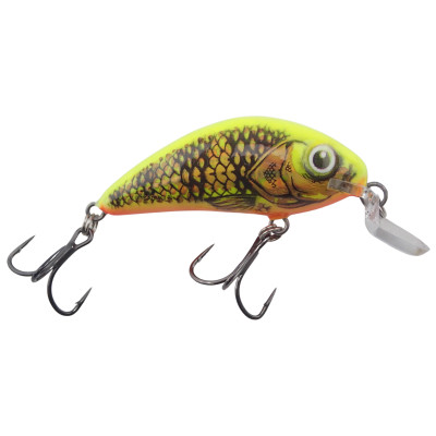 Salmo Rattlin Hornet Shallow Runner Crankbait Gold Fluorescent Perch Shallow Runner