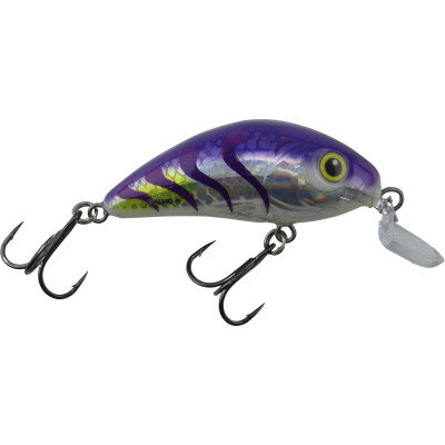 Salmo Rattlin Hornet Shallow Runner Crankbait Holographic Purple Tiger Shallow Runner