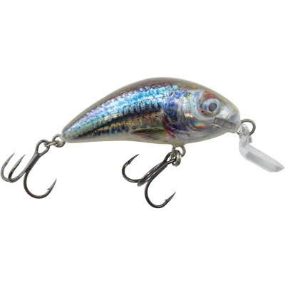 Salmo Rattlin' Hornet Shallow