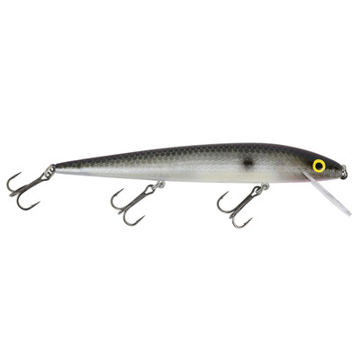 Buy Smithwick Lures Perfect 10 Rogue Fishing Lure Online at desertcartAngola