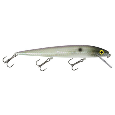 CLOSEOUT** SMITHWICK PERFECT 10 ROGUE LURE - Northwoods Wholesale