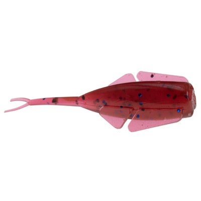 Clam CPT Niku Flutter Fry Plum Apple