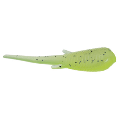 Clam CPT Niku Soldier Fly Chart/Pearl Glow