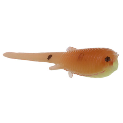 Clam CPT Niku Soldier Fly Glow Chart/Orange